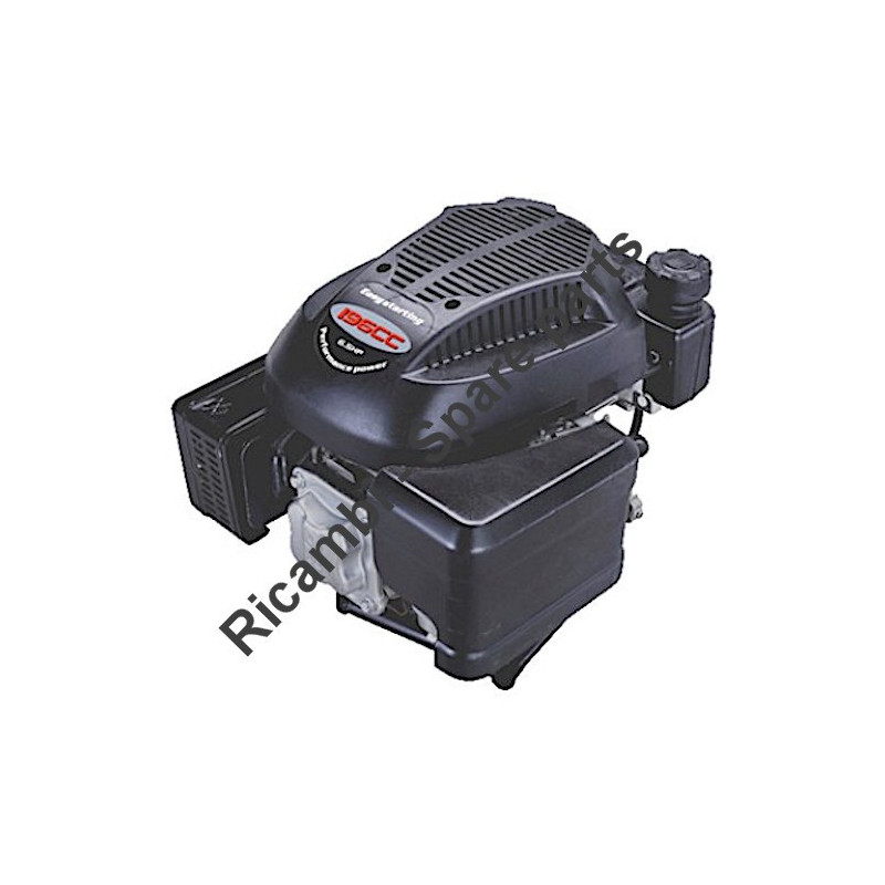 Loncin Spare Parts for Engine 196 cc 6.5 Hp LC1P170FAD