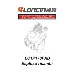 Ricambi Loncin per Motore 196 cc 6.5 Hp LC1P170FAD