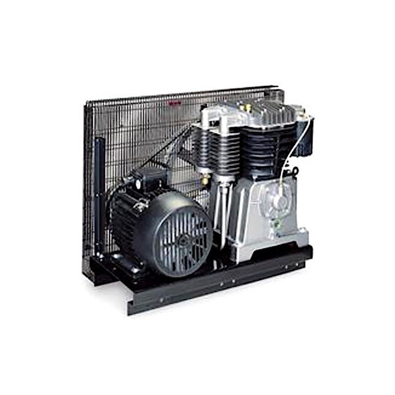 Lubricated Pump Unit for Compressor Belt Driven ABB 360