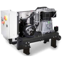 Gruppo Pompante per Compressore a Cinghia Mod. MK102/100 Lt