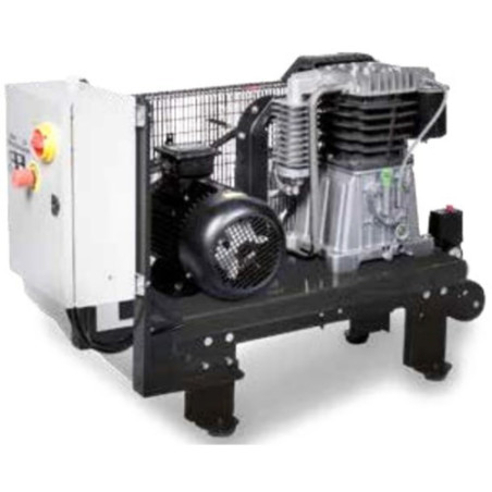 Lubricated Pump Unit for Compressor Belt Driven EBS 1000