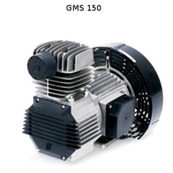Oiless Direct Driven Pump Unit Fiac GMS 150