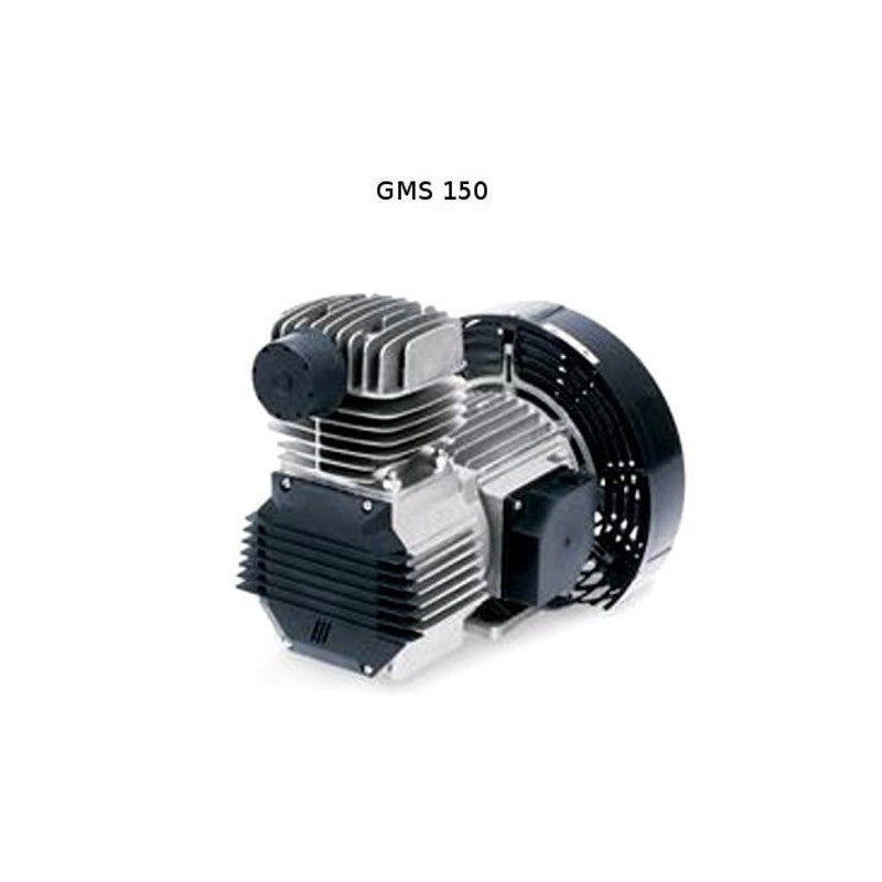Gruppo Pompant per Compressore Senza Olio Fiac GMS 150