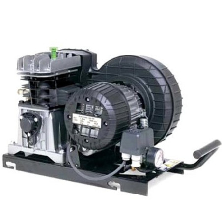 Lubricated Air Compressor Belt Driven Pump Fiac CCS 360-M