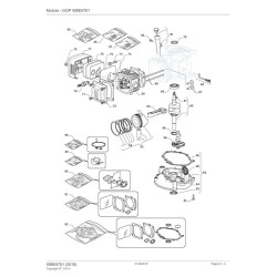 Ricambi Alpina per Motore GGP WBE0701