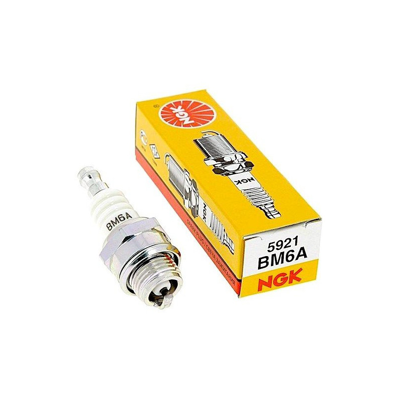 Spark Plug NGK BM6A