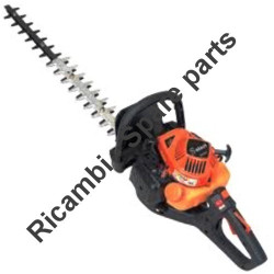 Ricambi Tanaka per Tosasiepi CH66EB (ST)