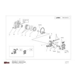 Lavor Parts for Petrol Engine Pressure Cleaner Independent 1900