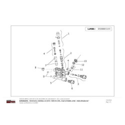 Lavor Parts for Petrol Engine Pressure Cleaner Idro Independent 2800