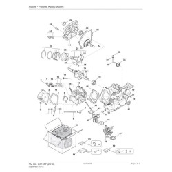 ST. S.P.A. Spare Parts for Engine TM 60 - LC165F (2016) 118551353/0