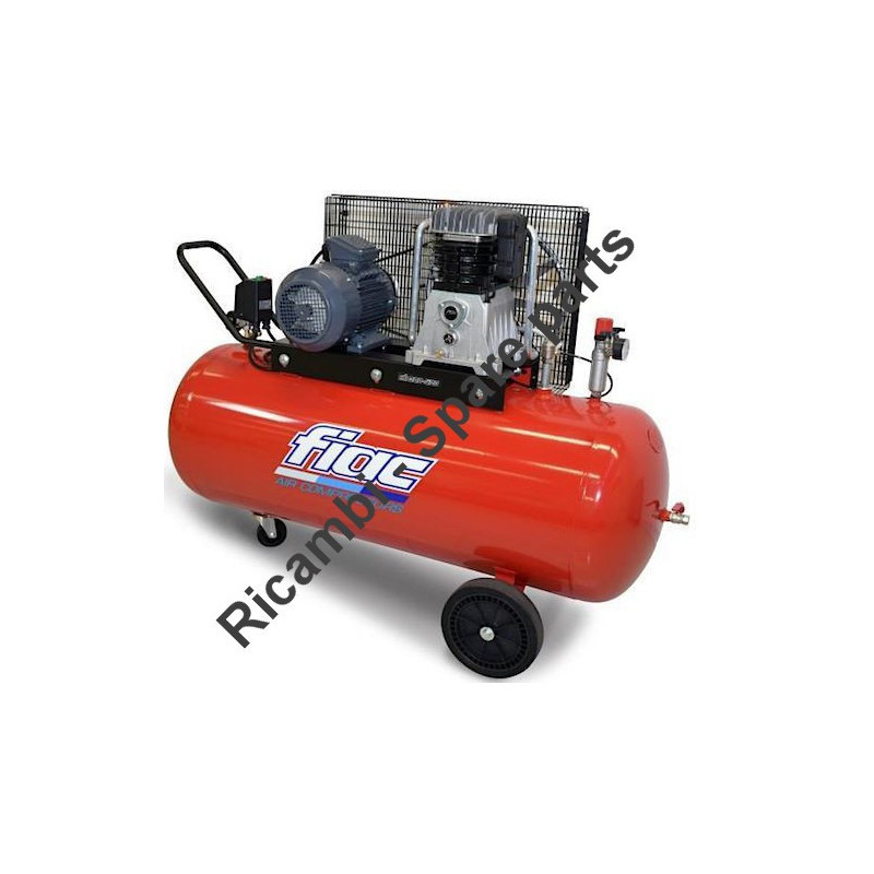 FIAC Spare Parts for Piston Air Compressor AB 300-678 F