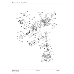 Ricambi Alpina per Motosega A 305