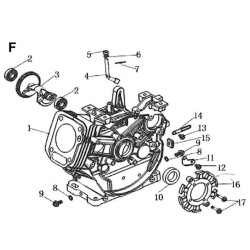 Ricambi Ama per Spazzaneve Play Snow PS961 – 79591