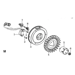 Ricambi Ama per Spazzaneve Play Snow PS961 – 79591