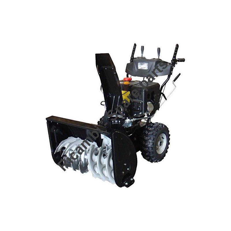 Ricambi Ama per Spazzaneve Play Snow PS961 – 79591