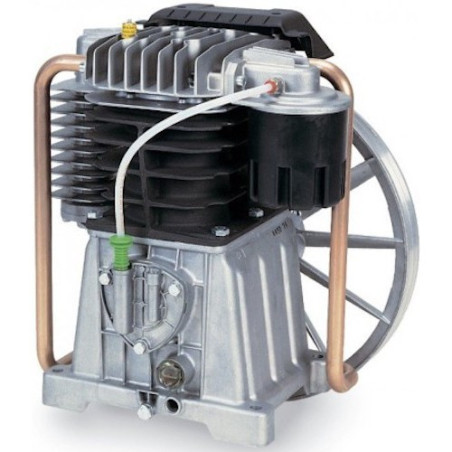 Gruppo Pompante per Compressore a Cinghia Mod. MK102/100 Lt