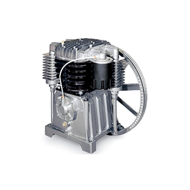Gruppo Pompante per Compressore a Cinghia Mod. MK102/100 Lt