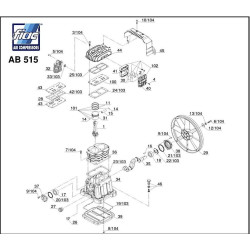 Ricambi Fiac per Gruppo Pompante AB 515 1123020017-2013