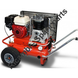 FIAC Parts for Petrol Engine Air Compressor Agri 65 1447730000-2008