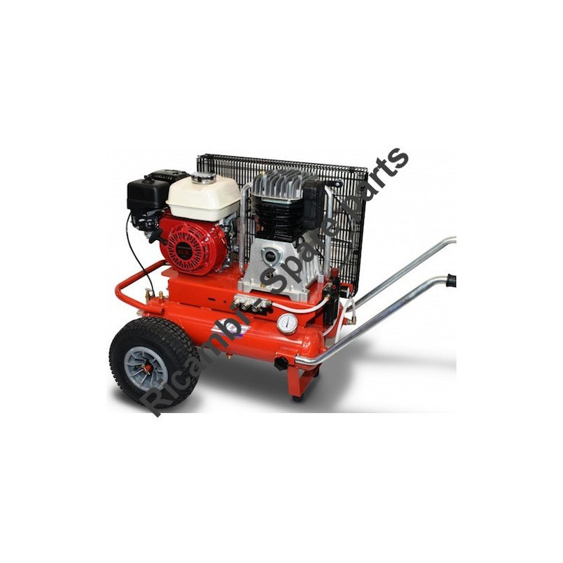 FIAC Parts for Petrol Engine Air Compressor Agri 65 1447730000-2008