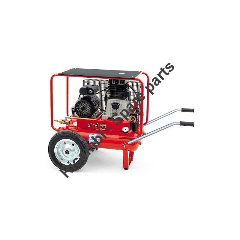 FIAC Spare Parts for Piston Air Compressor Pony AB 415