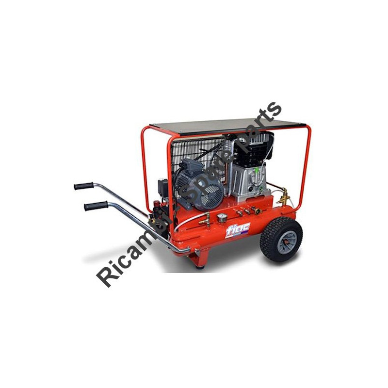 FIAC Spare Parts for Piston Air Compressor Pony AB 858