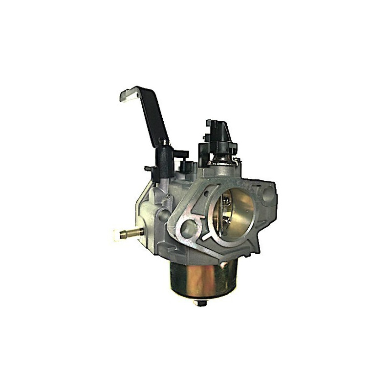 Carburator for Engine CM LT390