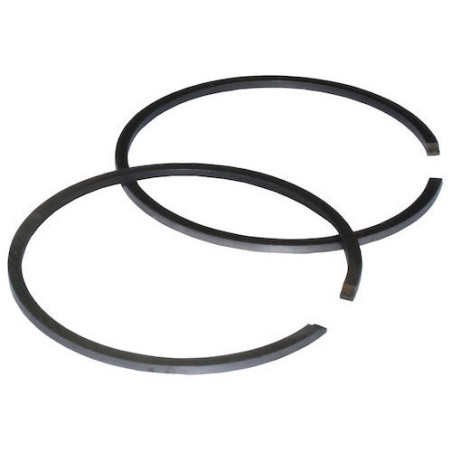 Piston Rings mm 40,5x1,5 for Motor Pump CM 46