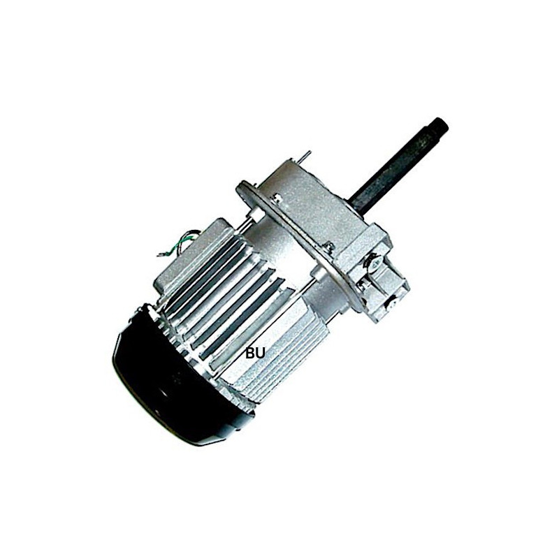 Electric Motor for Hoists