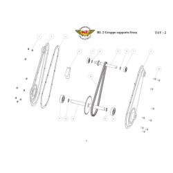 Ricambi Alpina per Motosega A 305