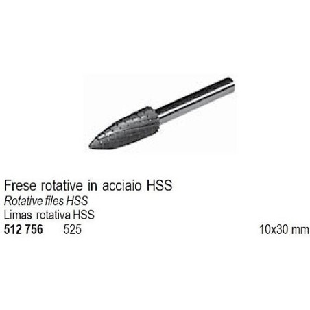 Fresa Rotativa in Metallo Duro H10