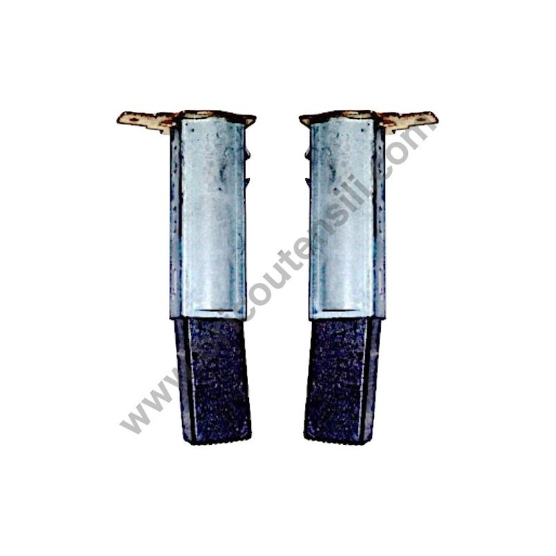 Kit Carbon Brushes for Pressure Washers Blue Clean AR142-AR260