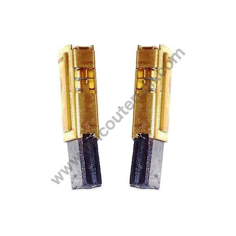 Carbon Brushes for Rotary Sander Stayer Lev 120