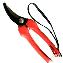 Pruning Scissors cm 19 Axel Ga0517