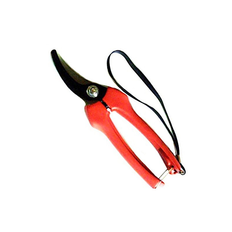 Pruning Scissors cm 19 Axel Ga0517