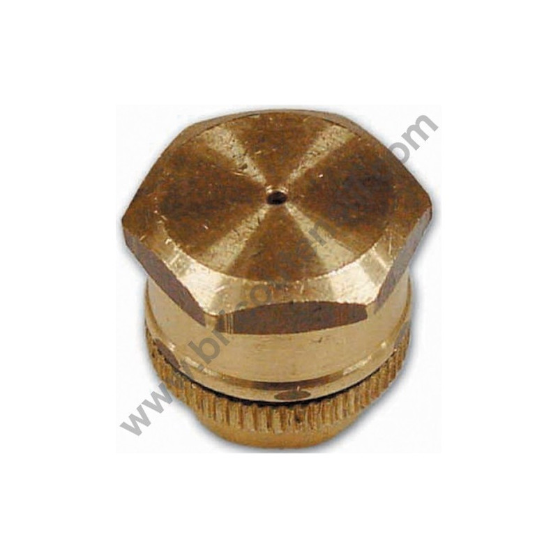 Rose Shape Nozzle for Sprayers