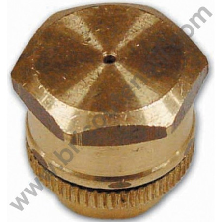 Rose Shape Nozzle for Sprayers