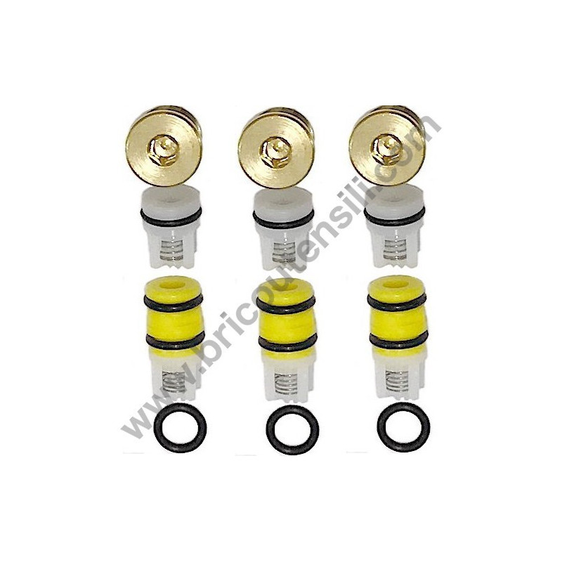  Kit 287 LW Int./Del. Valves + Cap PT '03 for Washer Lavor GIANT 24