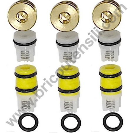 Kit 287 LW  Valvole Asp./Man. + Tappi per Idropulitrice Lavor GIANT 24