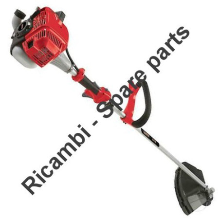 Ricambi Castor per Decespugliatore POWER 41 F (2007) 184122001