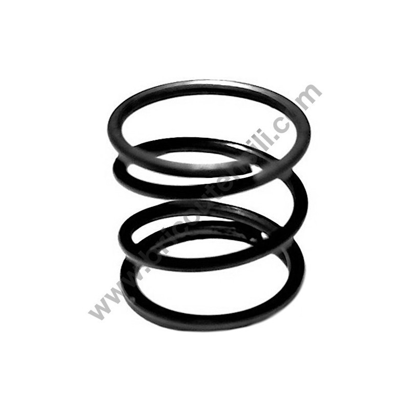 Molla Ingranaggio Pompa Olio per Motosega Hitachi Tanaka CS33EB-CS33EDT