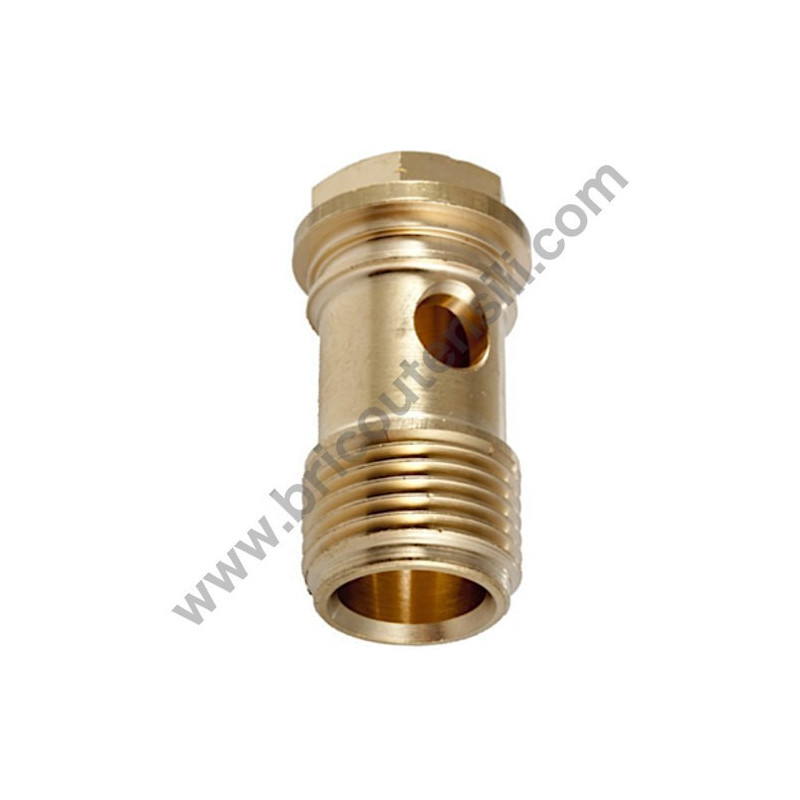 Collector Screw for Pressure Washers Annovi & Reverberi