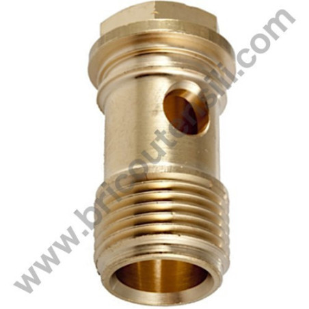 Collector Screw for Pressure Washers Annovi & Reverberi