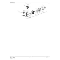 Ricambi Castelgarden per Motosega XC 41 (2009) 222516003/04