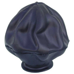 Membrane Replacement for Hydrosphere