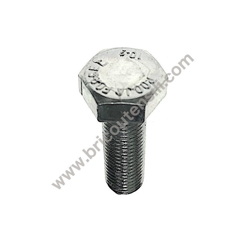 Bullone TE M8X1X25 Fissaggio Lama Rasaerba Elettrico AL1 34 E