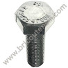 Blade Galvanized Screw TE M8X1X25 for Lawnmower AL1 34 E