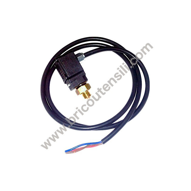 Pressure Switch for Pressure Washers Annovi & Reverberi AR 6640/6670