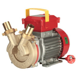 Elettropompa da Travaso Rover 30 CE