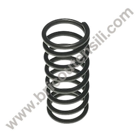 Molla Vite Regolazione Pompa Olio Motosega Hitachi Tanaka CS25EC-SC